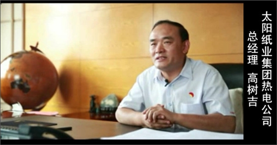 电厂自动化控制系统 电厂自动化控制系统