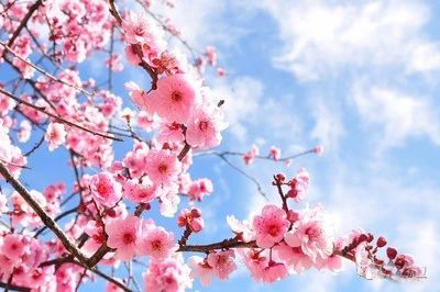 微信图片_20190211154722.jpg 微信图片_20190211154722.jpg