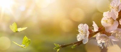 微信图片_20190211155402.jpg 微信图片_20190211155402.jpg